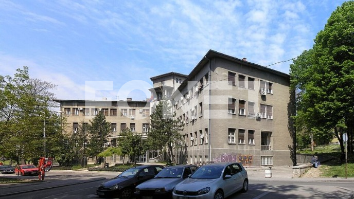 Bajčetić dekanka Medicinskog